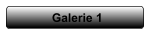 Galerie 1