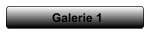 Galerie 1